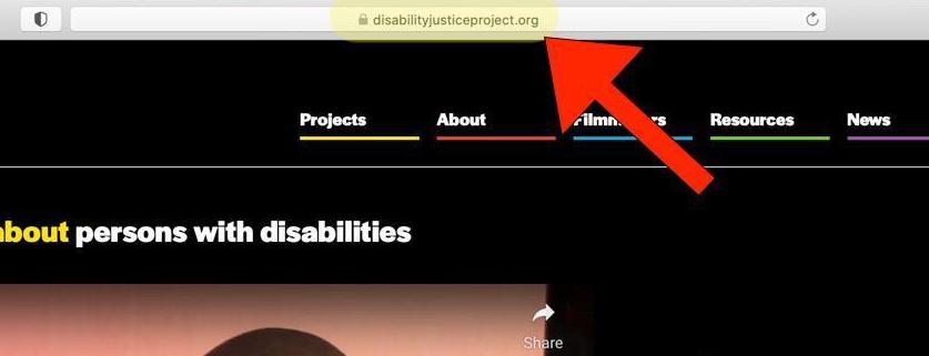 A internet browser features the Disability Justice Project home page. A big red arrow icon points to an address bar that says "disabilityjusticeproject.org". "Disabilityjusticeproject.org" is highlighted in yellow.