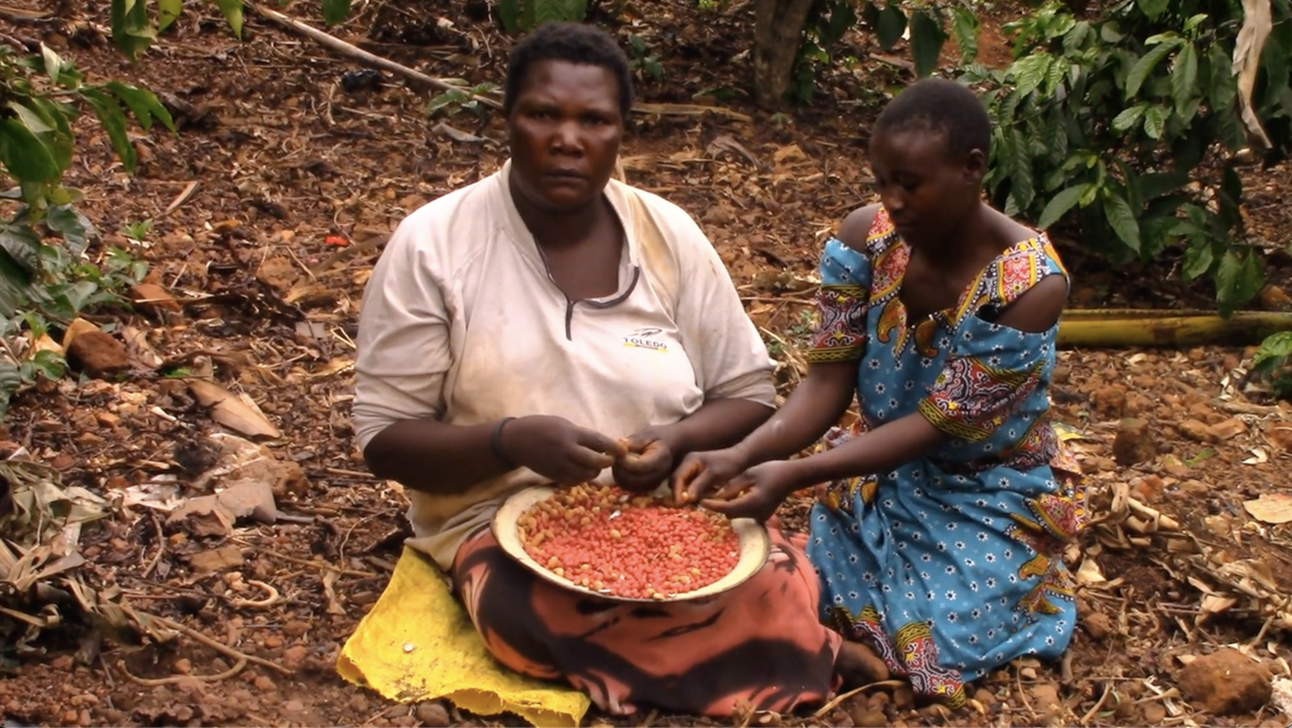 Two Ugandan women kneel on the ground sorting through a plate of red beans.