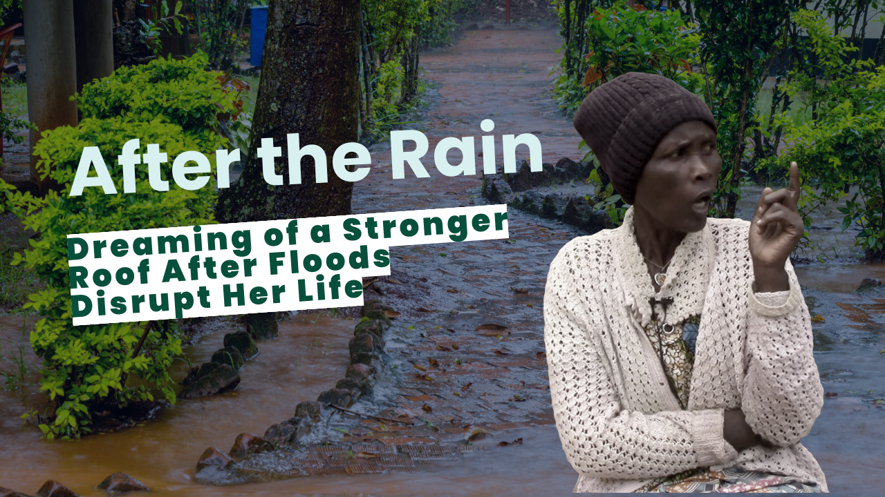 A thumbnail from the video with the title After the Rain.
