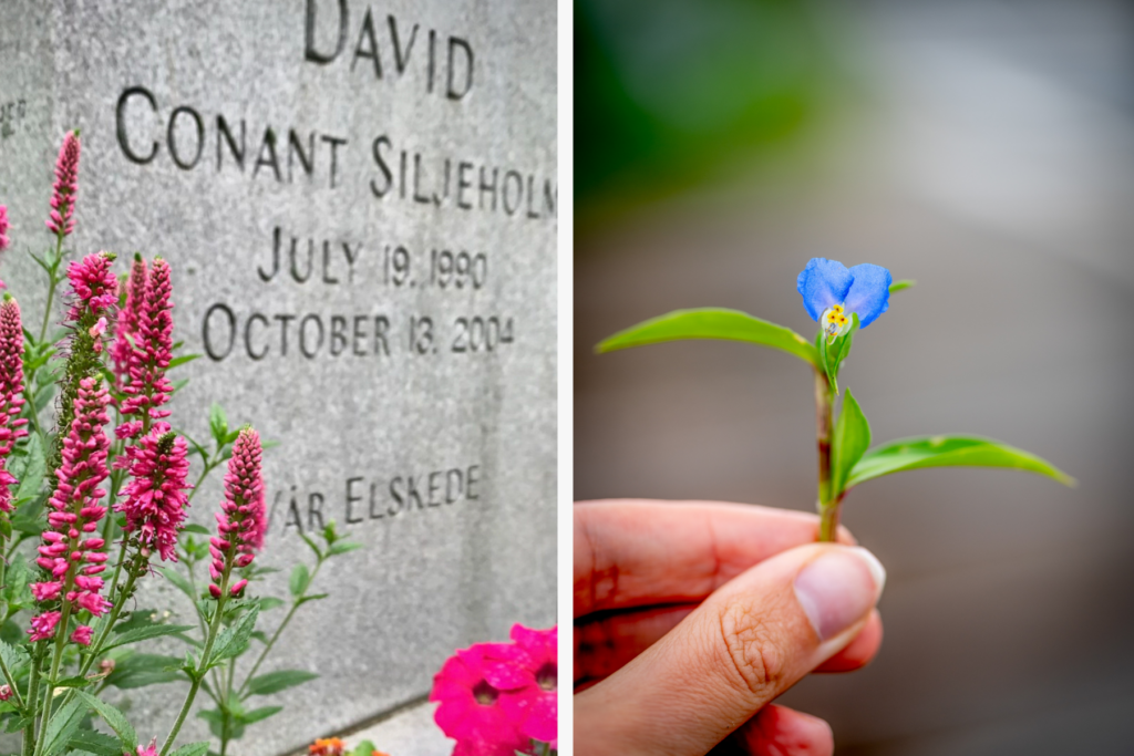 A split screen image. On the right is David's grave. On the left is a closeup of Marian holding a blue wild flower.