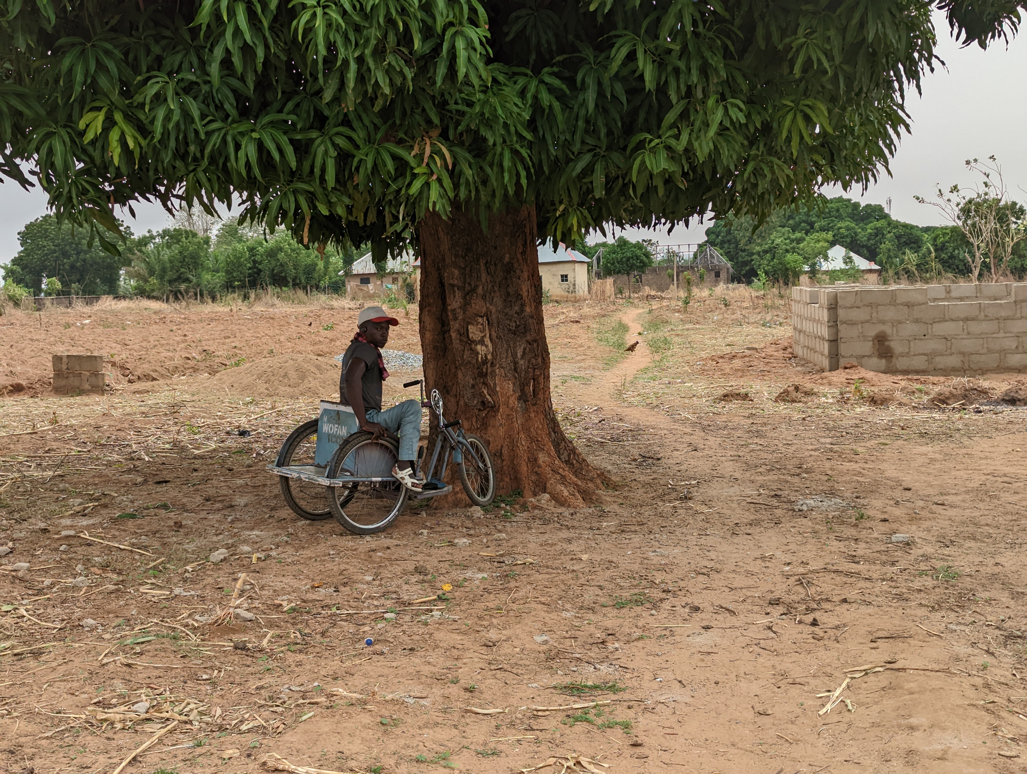 A man using a hand-powered tricycle wheelchair sits beneath a large leafy tree at the edge of a dry field in rural Nigeria.